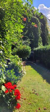 Foto - Einfamilienhaus in Berlin zum Kaufen