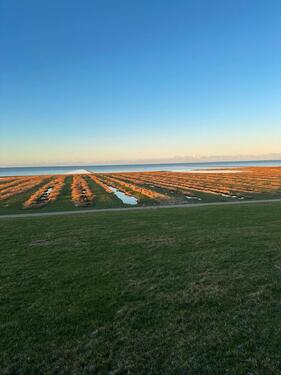Foto - 5 Zimmer Einfamilienhaus in Klanxbüll