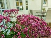 Foto - andere in Selb