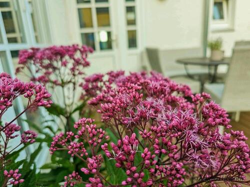 Foto - andere in Selb
