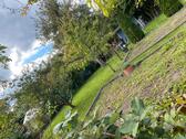 Foto - Kleingarten - 800,00 EUR Kaltmiete, ca.  0,00 m²