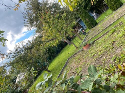 Foto - Kleingarten - 800,00 EUR Kaltmiete, ca.  0,00 m²
