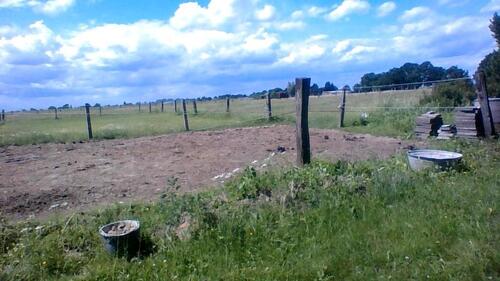 Foto - Haus Erdgeschoss Wohnung zu vermieten