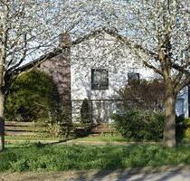 Haus, Repräsentatives Einfamilienhaus in ruhiger Lage - Biberbach