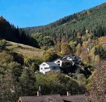 Traumhaftes Architektenhaus in Alleinlage im Schwarzwald - Bad Wildbad