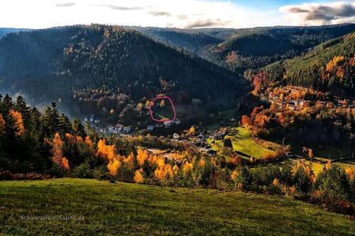 Foto - Einfamilienhaus zum Kaufen in Bad Wildbad