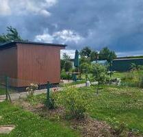 Pachtgarten, Kleingarten, Bergen Süd - Bergen auf Rügen