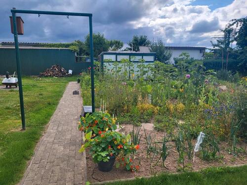 Foto - Grundstück in Bergen auf Rügen zur Miete