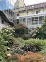 Foto - Seniorenfreundliche Wohnung mit Balkon & Aufzug - zentral & ruhig