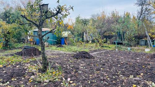 Foto - Grundstück zur Miete in Broderstorf