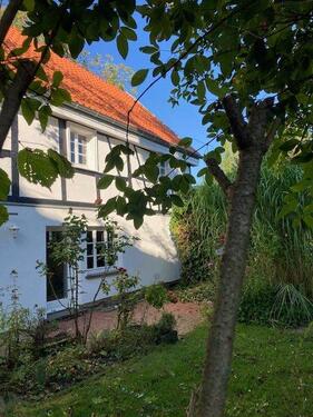 Foto - 5 Zimmer Einfamilienhaus zur Miete in Overath