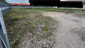 Foto - Gewerbegrundstück zu vermieten - 2,00&nbsp;EUR Kaltmiete, ca.&nbsp; 1.000,00&nbsp;m&sup2;