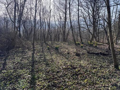 Foto - Ruheoase mitten in Balingen: Naturnahes Freizeitgrundstück