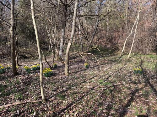 Foto - Grundst&uuml;ck zur Miete in Balingen