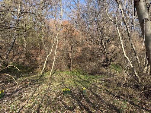 Foto - Grundst&uuml;ck in Balingen