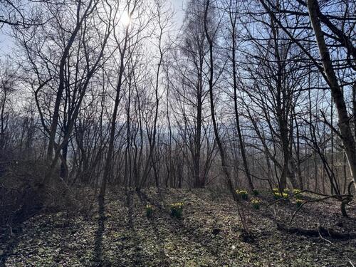 Foto - Grundst&uuml;ck in Balingen zur Miete