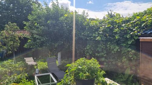 Foto - Kleingarten Pacht abzugeben - 3.500,00 EUR Kaltmiete, ca.  0,00 m²