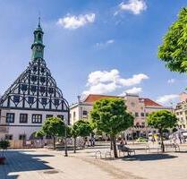 Zentrale 2 Raum Wohnung, vermietet und Provisionsfrei! - Zwickau