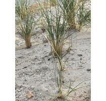 Neubauähnliche 2 Zimmer ETW in Top Lage von Laboe