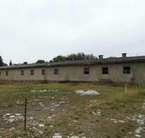 39448 Hakeborn 430 qm Halle Lager Werkstatt auf 2343 Grund - Börde-Hakel