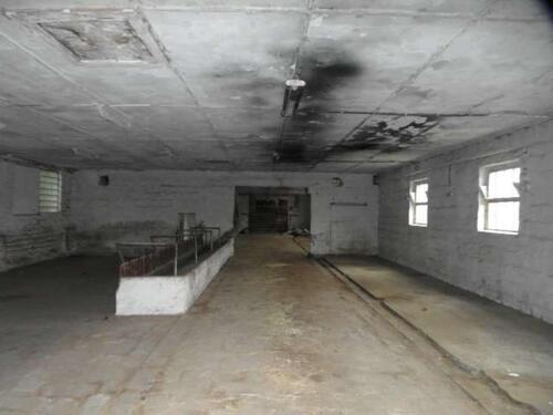 Foto - andere in Börde-Hakel