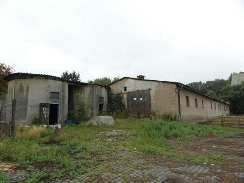 Foto - andere in Börde-Hakel zur Miete