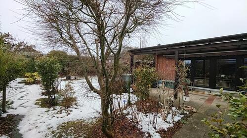 Foto - 5 Zimmer Bungalow zum Kaufen in Winsen (Luhe)