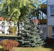 Eigentumswohnung in Soltau (zwei Zimmer) ohne Provision
