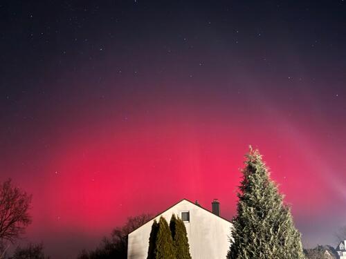 Foto - 2 Zimmer Erdgeschoßwohnung zur Miete in Weiden in der Oberpfalz