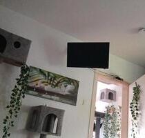Wohnung Teilmöbeliert Nachmieter - Selm