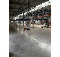 Palettenregale Lagerdienstleistung Lagerhaltung kühllager - Beckum