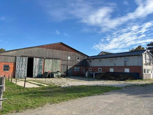 Foto - andere in Groß Twülpstedt