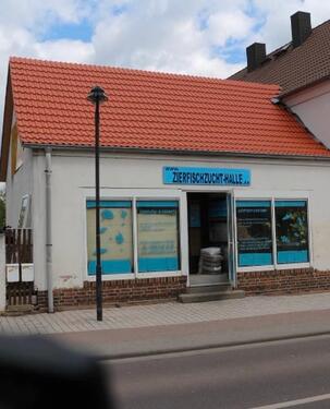 Foto - 5 Zimmer Einfamilienhaus zum Kaufen in Halle (Saale)
