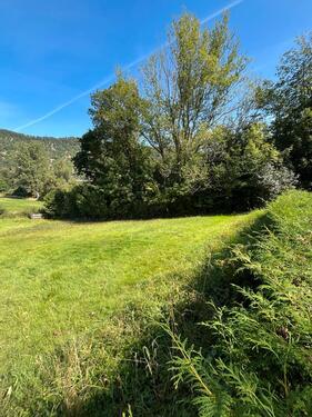Foto - Grundst&uuml;ck in Edertal zur Miete