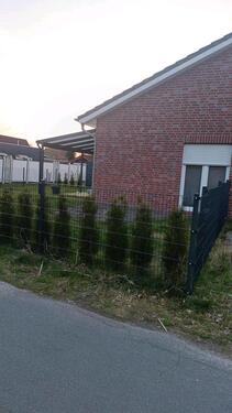 Foto - 3 Zimmer Terrassenwohnung zur Miete in Rhauderfehn