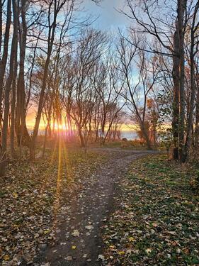 Foto - Insel Poel Weitendorf - 110,00&nbsp;EUR Kaltmiete,