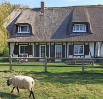 NORMANDIE, Romantisches Ferienhaus am MEER und im WALD, 8 pers. - Bonn