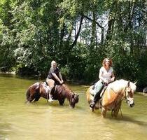 Ferienwohnungen auf BauernhofPonyhof im Allgäu - Wertach