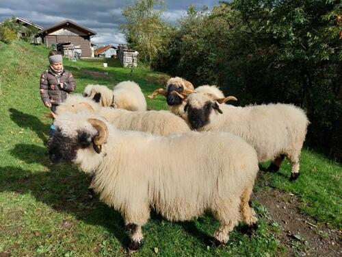 Foto - andere in Wertach