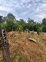 Foto - Bauernhaus, Landhaus zum Kaufen in Büchel