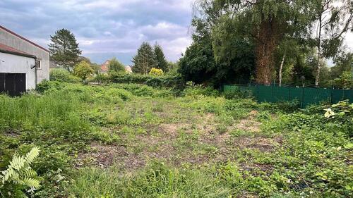 Foto - andere in Gelsenkirchen zur Miete