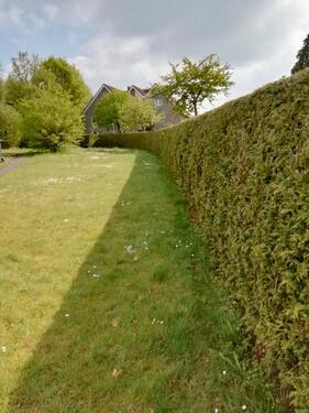 Foto - Einfamilienhaus zur Miete in Harsewinkel