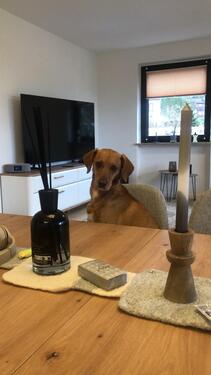 Foto - andere in Forchheim zur Miete