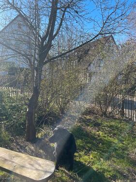 Foto - andere zur Miete in Bruchhausen-Vilsen