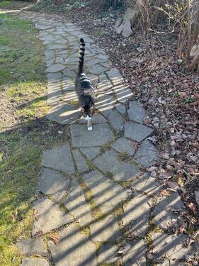 Foto - andere in Bruchhausen-Vilsen