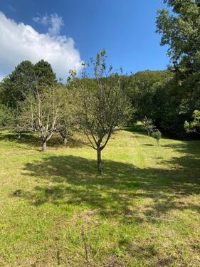 Foto - Erster Monat kostenlos! Streuobstwiese Freizeitgrundstück nahe Stuttgart zu verpachten