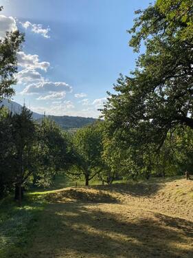 Foto - Grundstück in Weilheim an der Teck