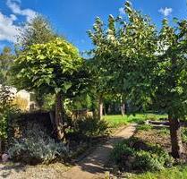 Provisionsfrei! 8-Zimmer-Reihenmittelhaus in idyllischer Lage - Merzig