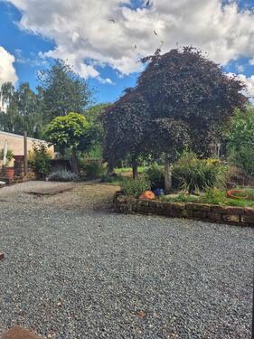 Foto - 8 Zimmer Reihenhaus in Merzig