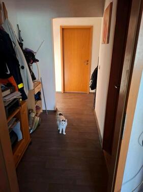 Foto - 3 Zimmer Etagenwohnung zur Miete in Burg